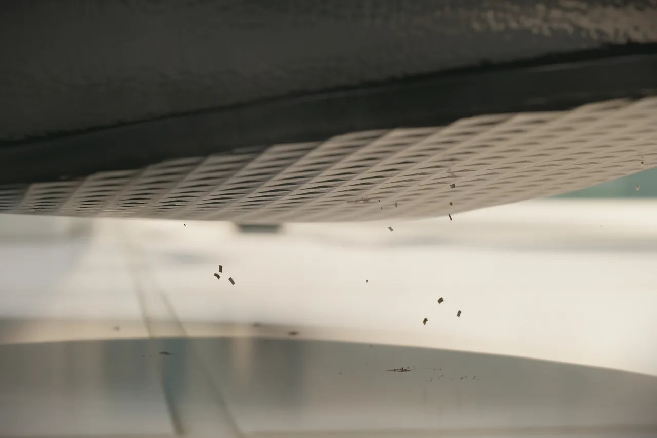 Fanbox 73W 2025.1.29 - 2025.12.11 - Image 429