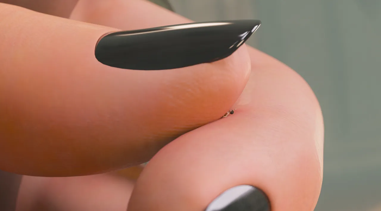 Fanbox 73W 2025.1.29 - 2025.12.11 - Image 44