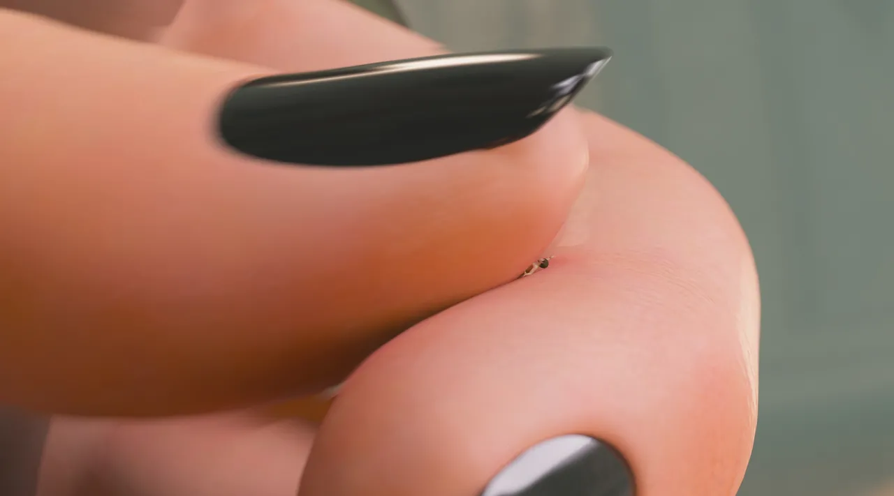 Fanbox 73W 2025.1.29 - 2025.12.11 - Image 45