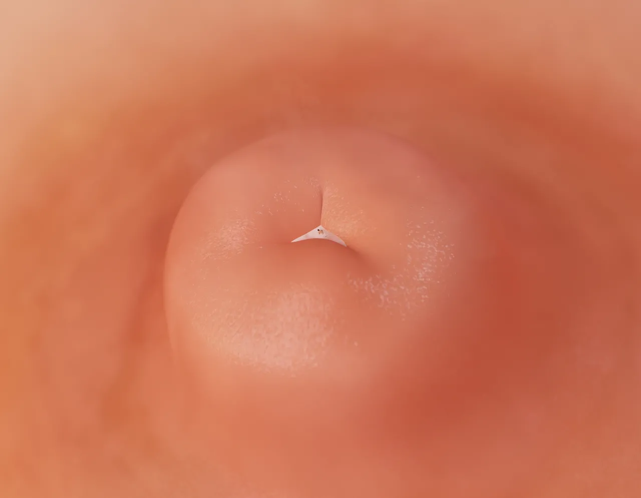 Fanbox 73W 2025.1.29 - 2025.12.11 - Image 465