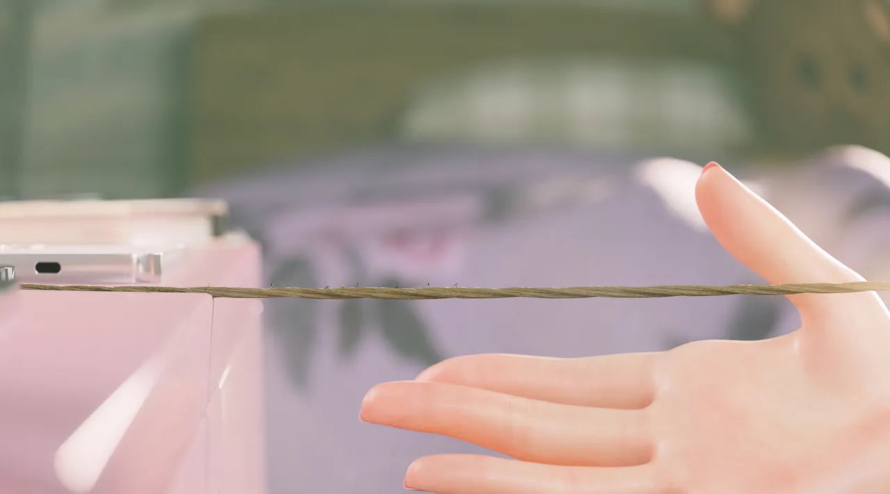 Fanbox 73W 2025.1.29 - 2025.12.11 - Image 476