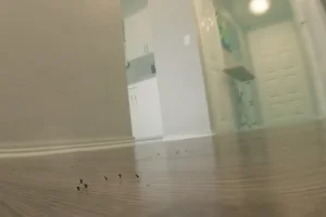 Fanbox 73W 2025.1.29 - 2025.12.11 - Page 115