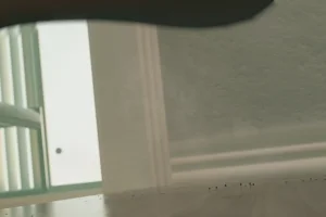 Fanbox 73W 2025.1.29 - 2025.12.11 - Page 116