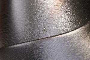 Fanbox 73W 2025.1.29 - 2025.12.11 - Page 226