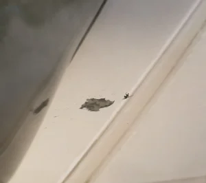 Fanbox 73W 2025.1.29 - 2025.12.11 - Page 270