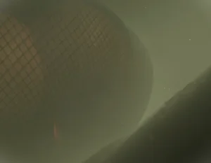 Fanbox 73W 2025.1.29 - 2025.12.11 - Page 305