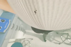 Fanbox 73W 2025.1.29 - 2025.12.11 - Page 438