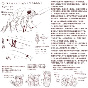 fanbox gall 2023.12.31 - Page 406