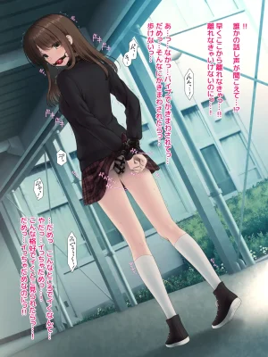 Fanbox Sakurayashiki Tonkotsu Koushanai de Futaana Vibe Hitori de Play Hen - Page 20