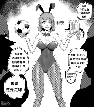 Fellatrix 2023 翻车鱼个人汉化 进行中 - Page 69