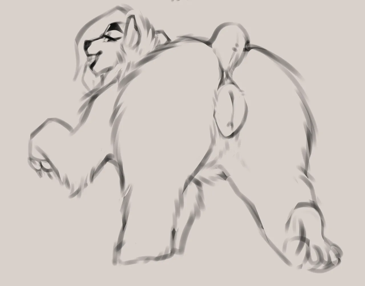 Fluff-Kevlar Beach Bear Bailey - Image 7