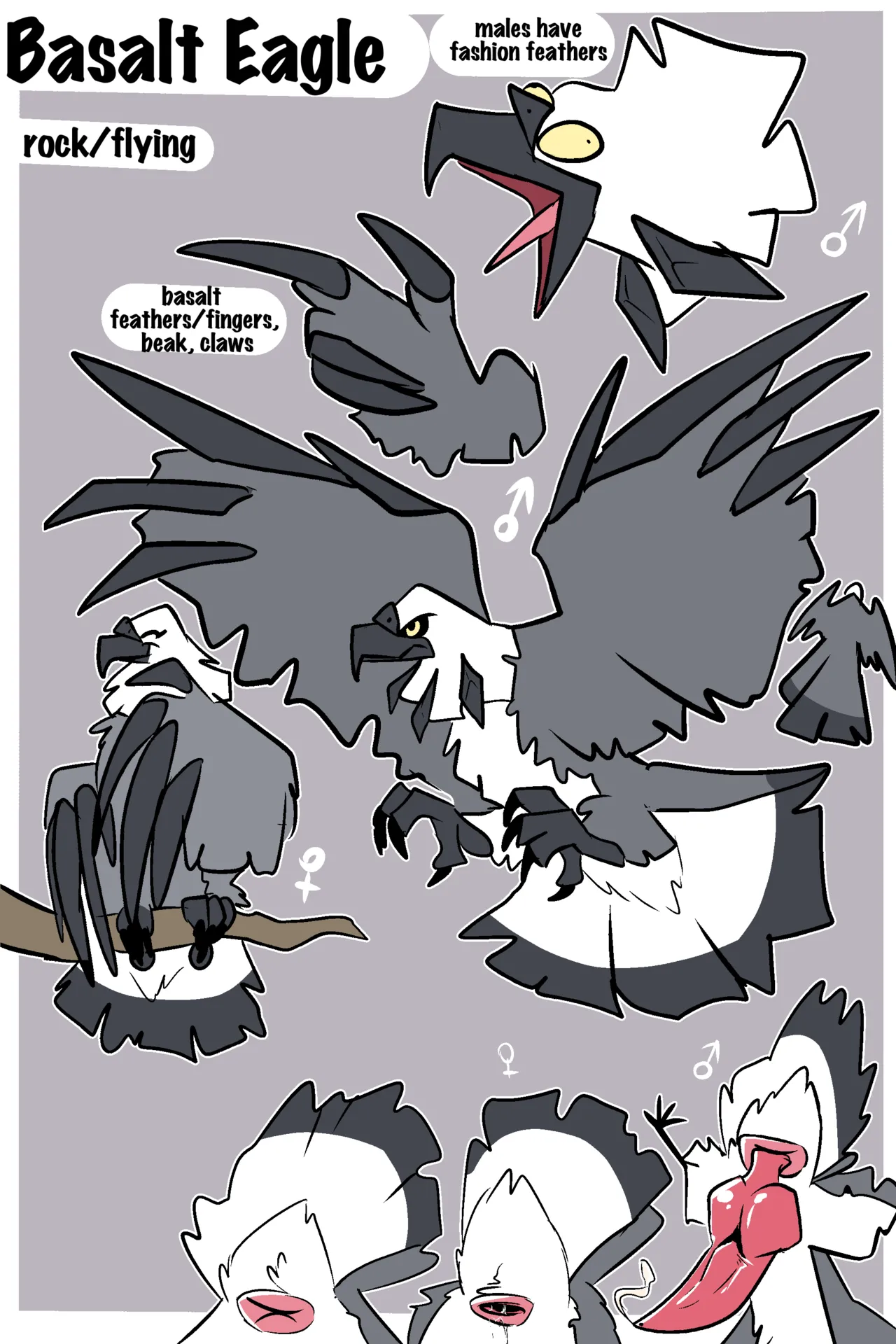 Fuf Blazing a Trail W Extras Ongoing - Image 494