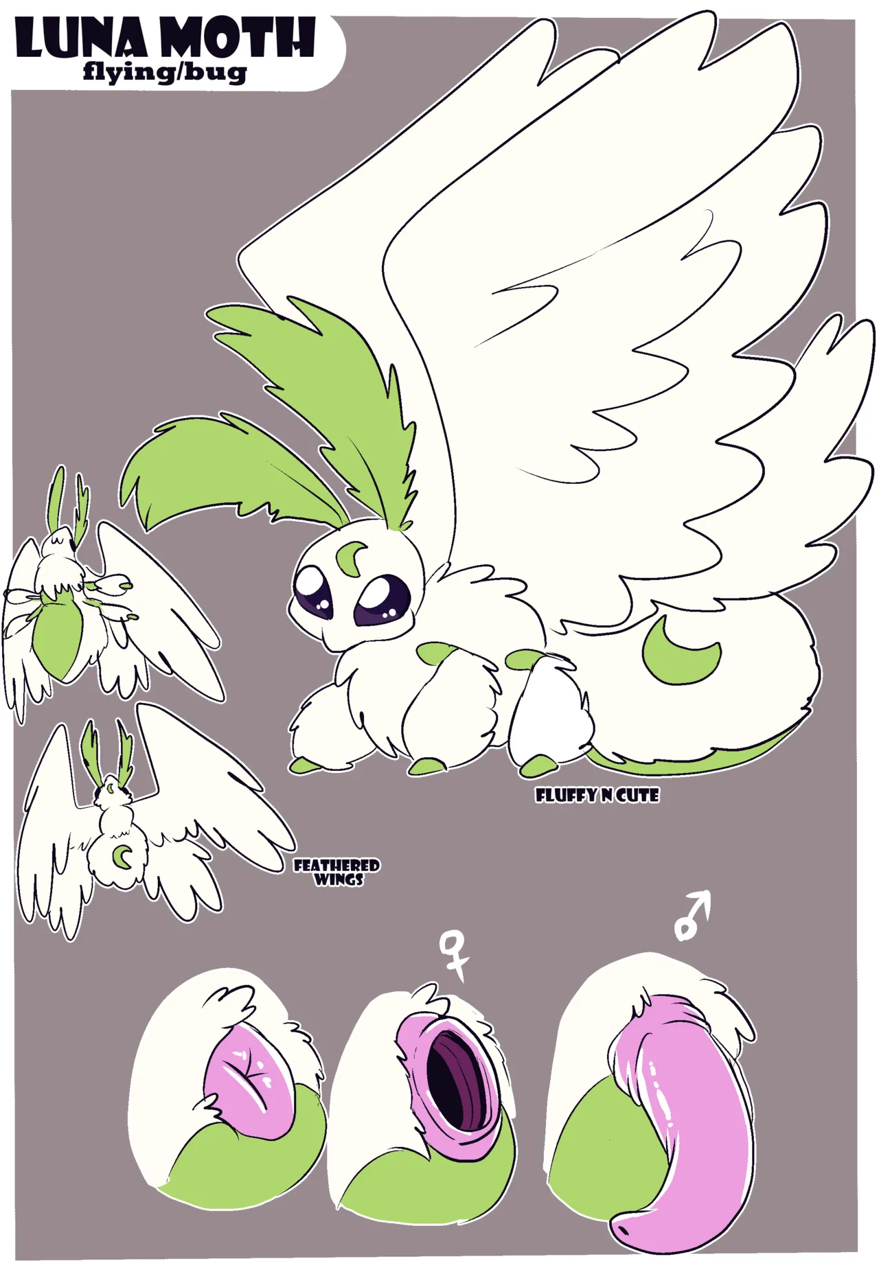 Fuf Blazing a Trail W Extras Ongoing - Image 508