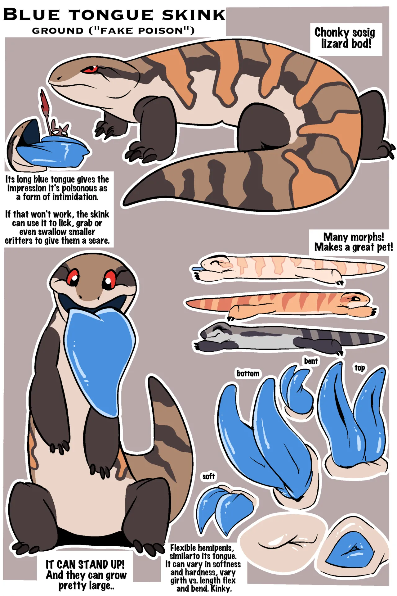 Fuf Blazing a Trail W Extras Ongoing - Image 521