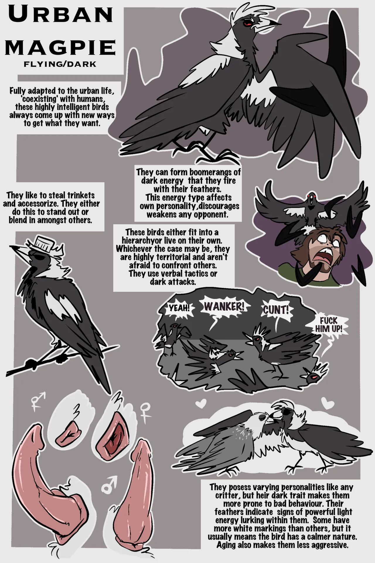 Fuf Blazing a Trail W Extras Ongoing - Image 523