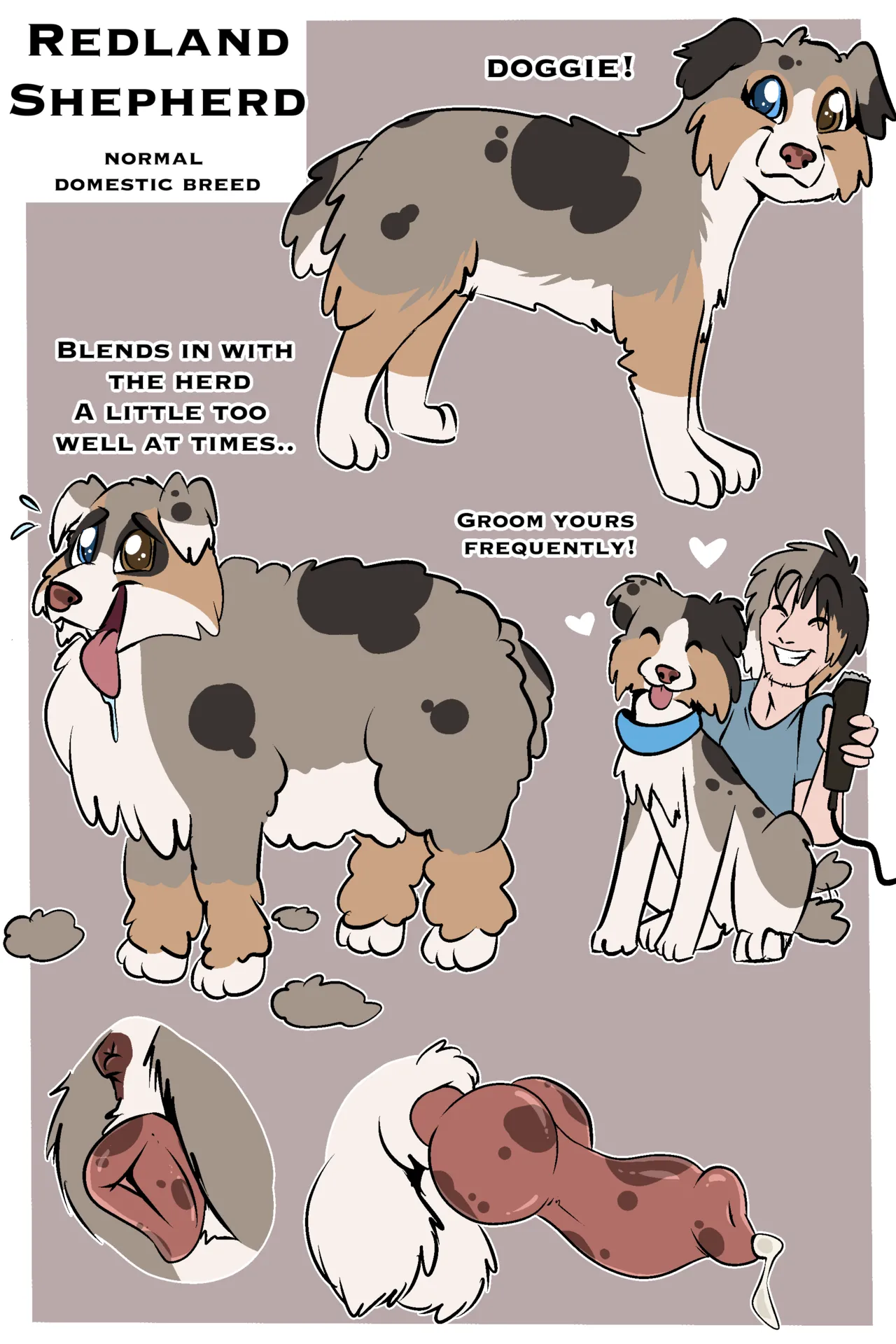 Fuf Blazing a Trail W Extras Ongoing - Image 531