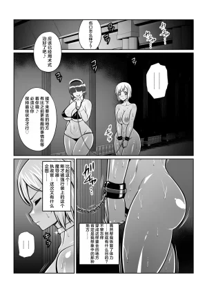 Fuwa Fuwa Pinkchan Gekka Midarezaki Sono Roku Tales of Vesperia Chinese MTL - Page 11