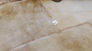 绿意盎然 - Page 45