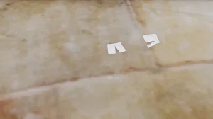 绿意盎然 - Page 46