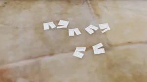 绿意盎然 - Page 47