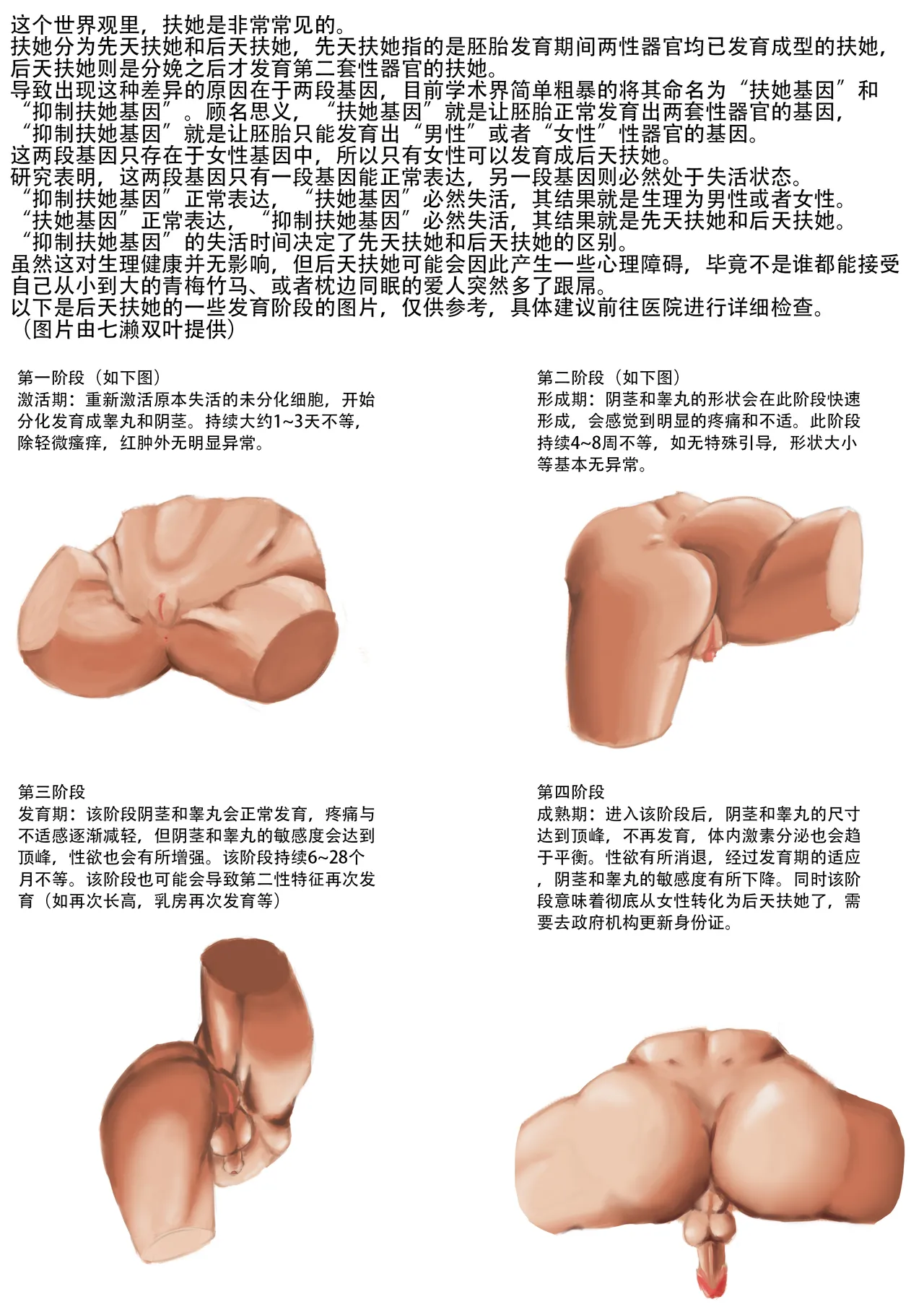 初次尝试 - Image 18