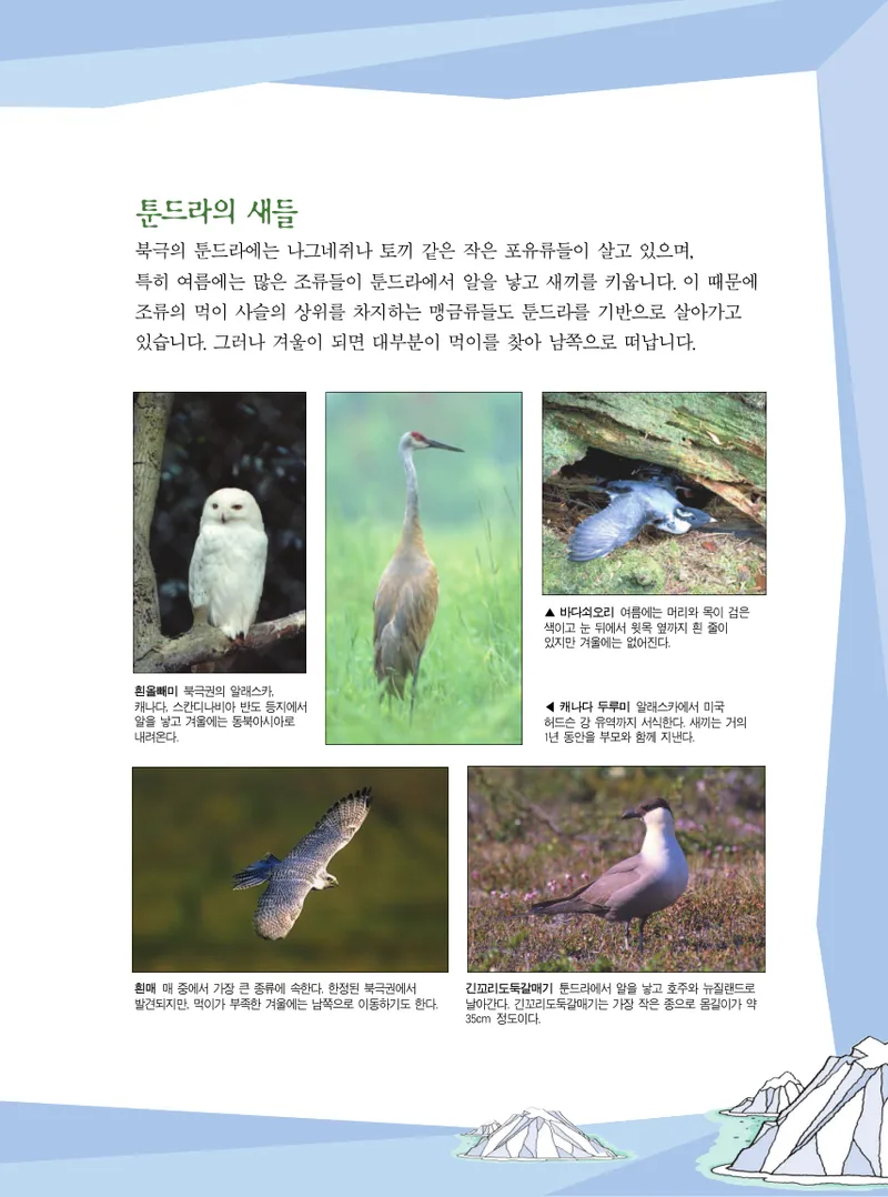 빙하에서 살아남기 - Image 115