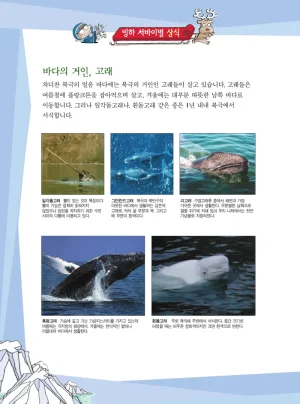 빙하에서 살아남기 - Page 134