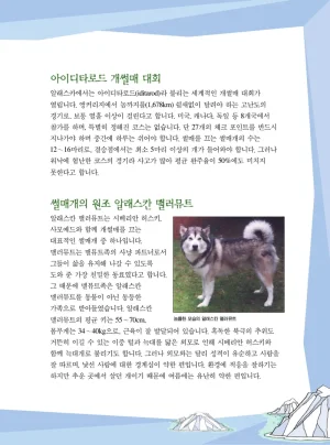 빙하에서 살아남기 - Page 35