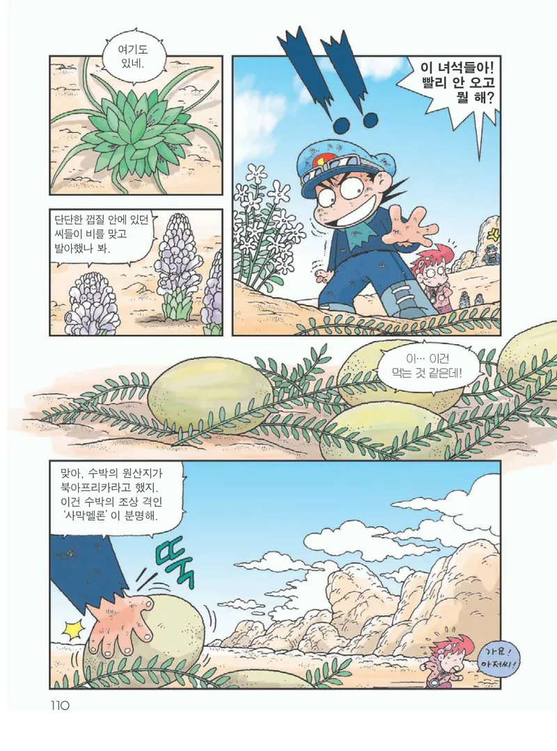 사막에서 살아남기 - Image 114
