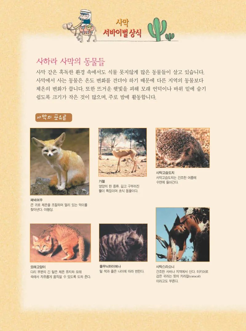 사막에서 살아남기 - Image 128