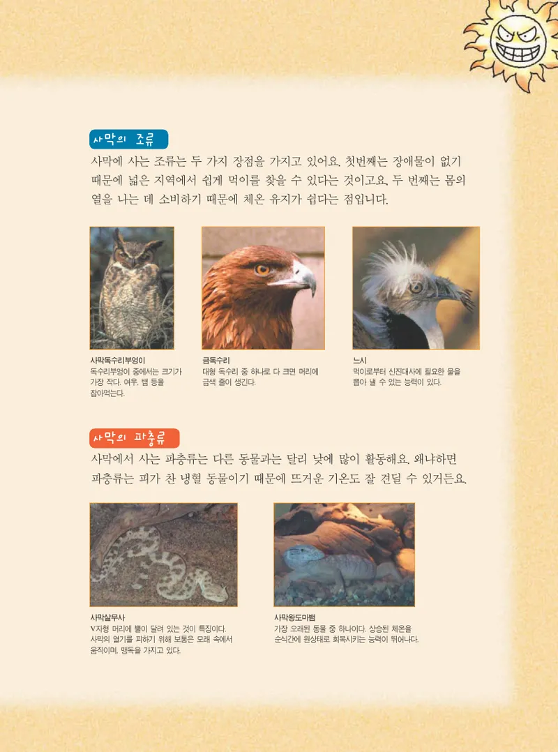 사막에서 살아남기 - Image 129