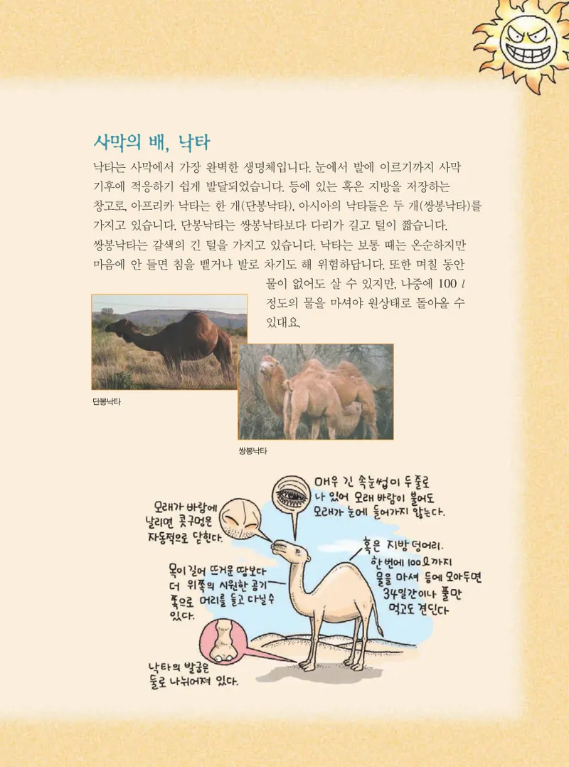 사막에서 살아남기 - Image 53