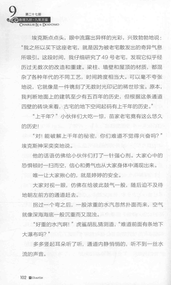 雷欧幻像查理九世 九尾灵猫 - Image 106