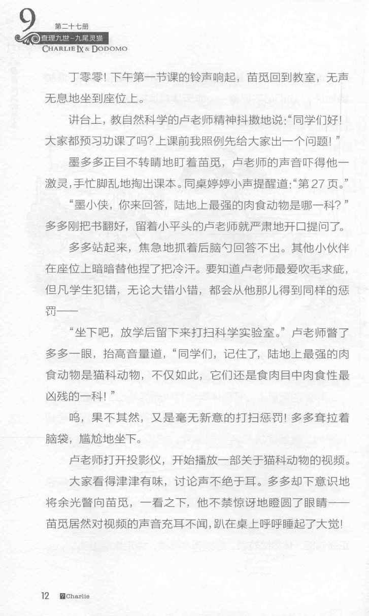 雷欧幻像查理九世 九尾灵猫 - Image 16
