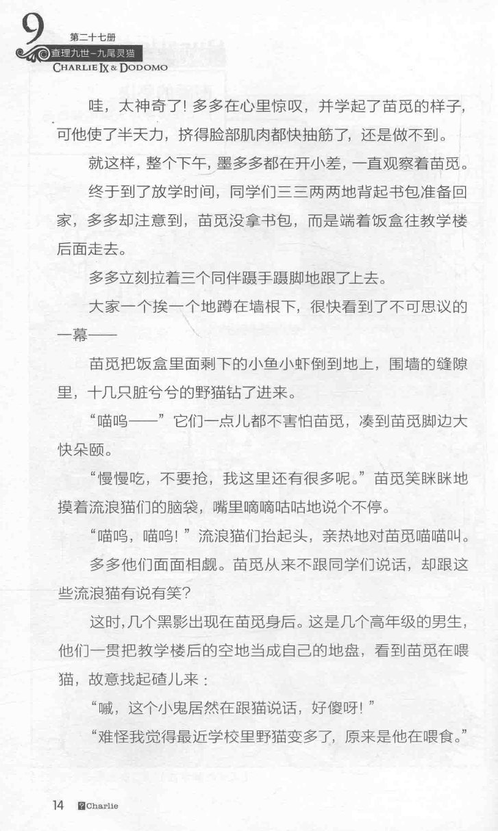 雷欧幻像查理九世 九尾灵猫 - Image 18