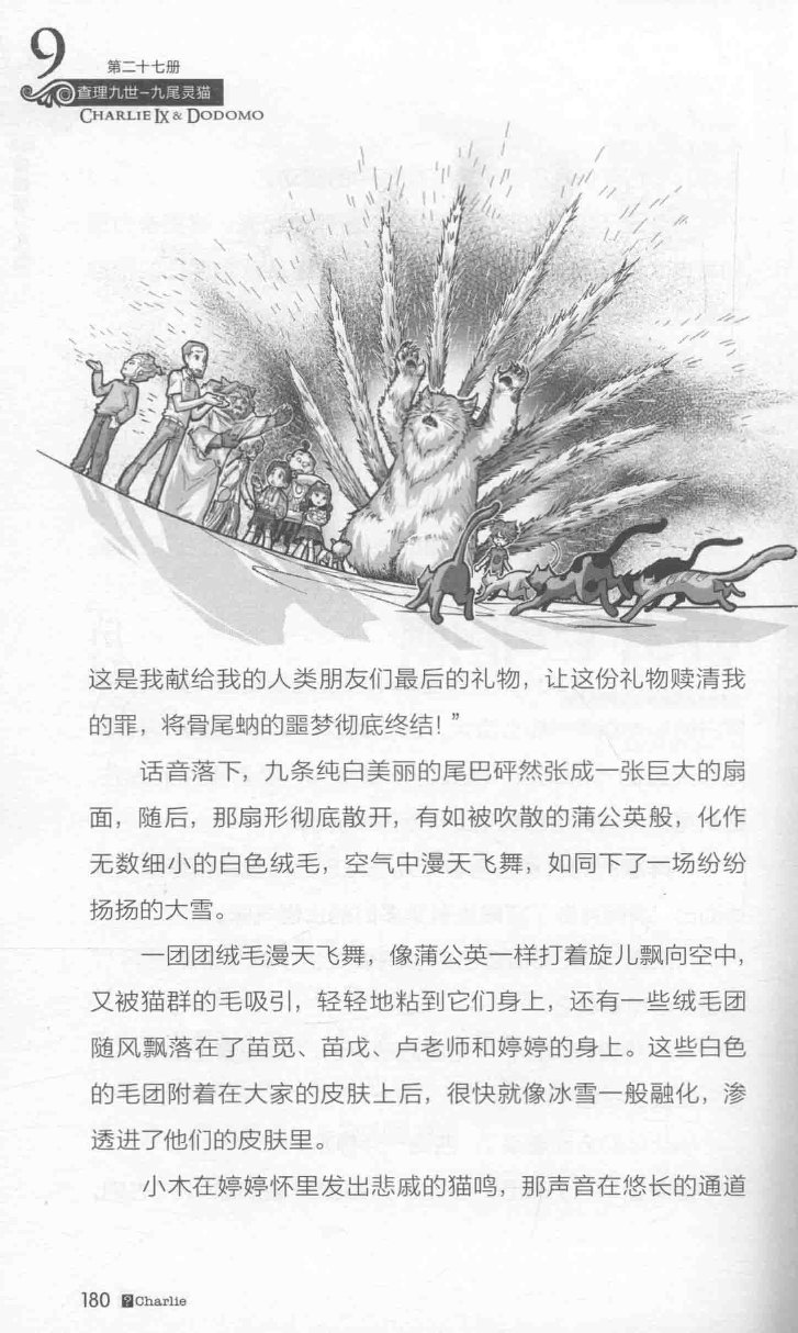 雷欧幻像查理九世 九尾灵猫 - Image 184