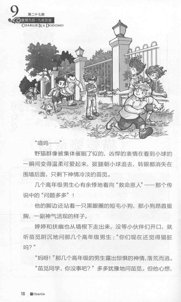 雷欧幻像查理九世 九尾灵猫 - Image 22