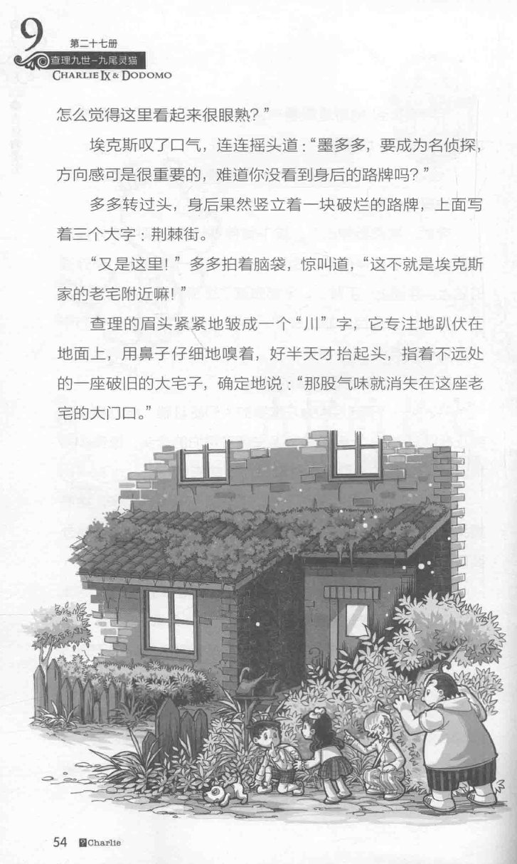 雷欧幻像查理九世 九尾灵猫 - Image 58