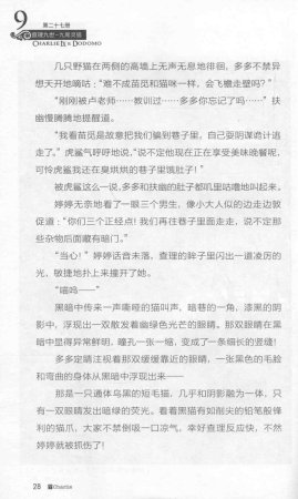 雷欧幻像查理九世 九尾灵猫 - Page 32