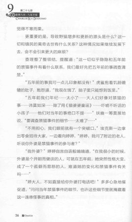 雷欧幻像查理九世 九尾灵猫 - Page 40