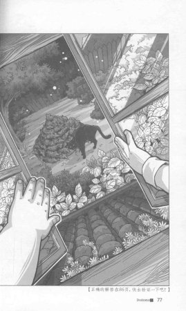 雷欧幻像查理九世 九尾灵猫 - Page 81