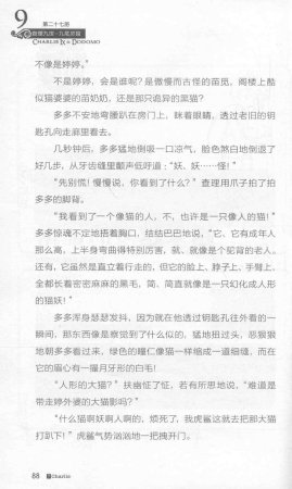 雷欧幻像查理九世 九尾灵猫 - Page 92