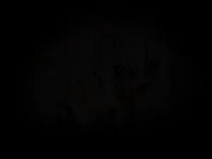 カルア侵略おじさんマスターの気付かぬ内に堕ち行くサーヴァントたちの話 - Page 295