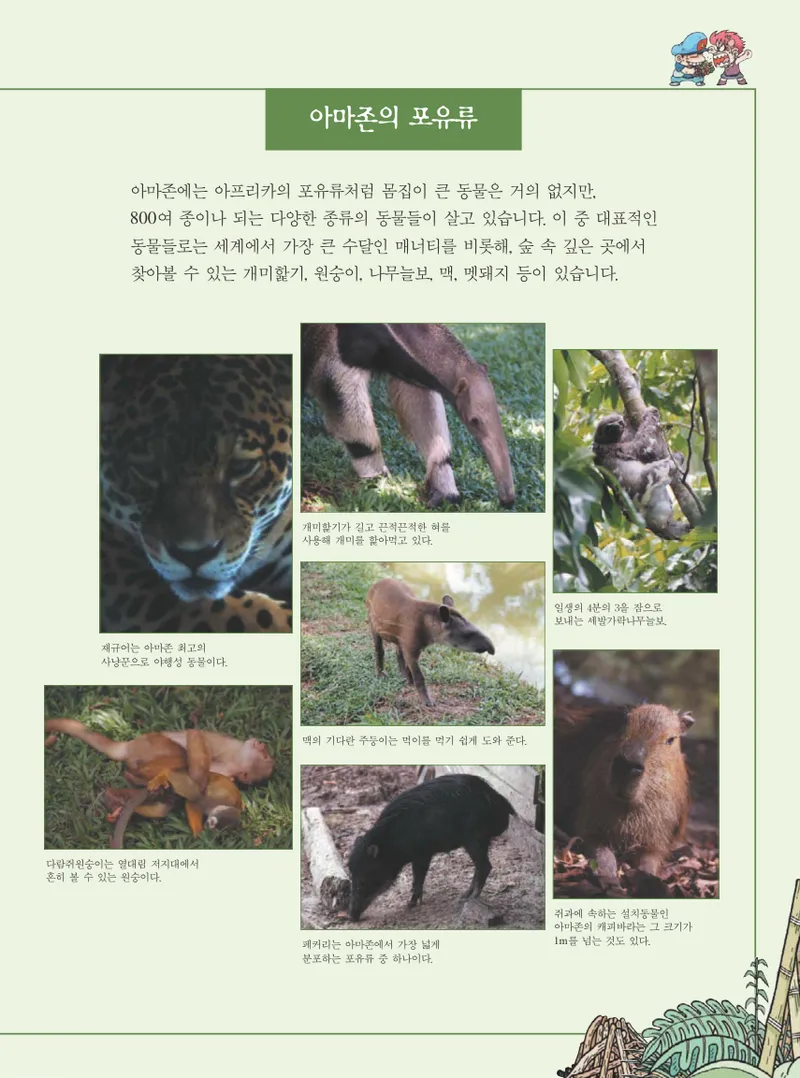 아마존에서 살아남기 - Image 107