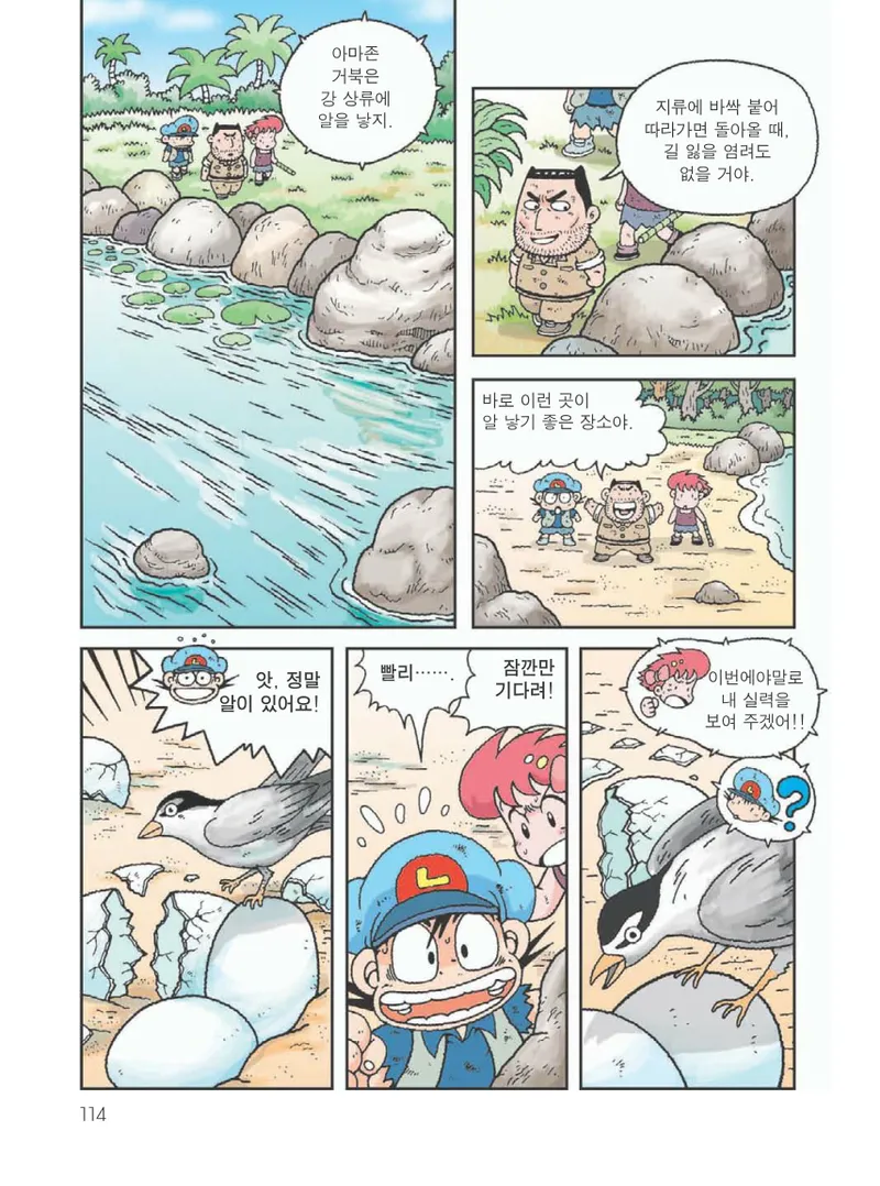 아마존에서 살아남기 - Image 118