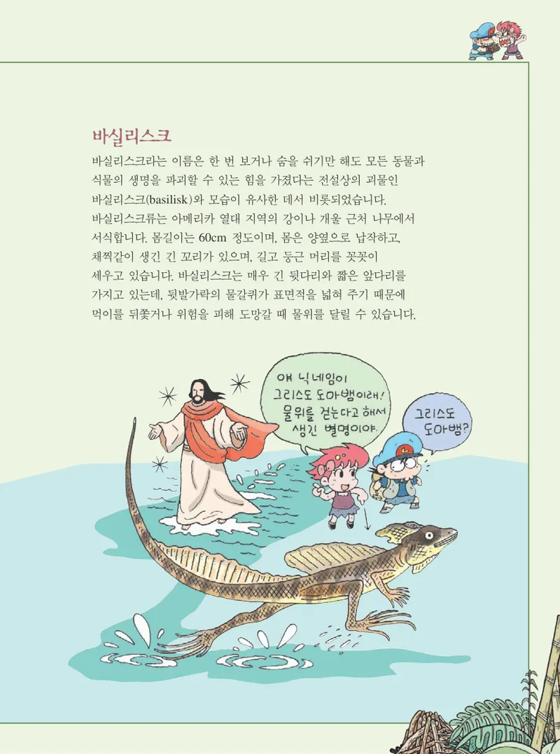 아마존에서 살아남기 - Image 133