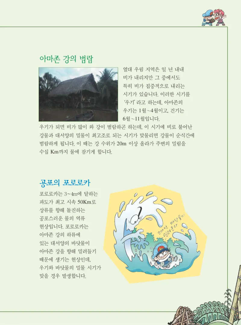아마존에서 살아남기 - Image 39