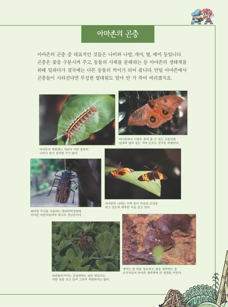 아마존에서 살아남기 - Image 47