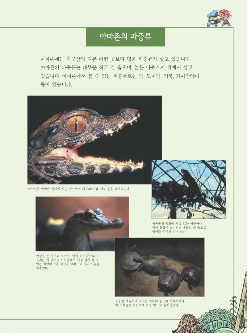 아마존에서 살아남기 - Image 75