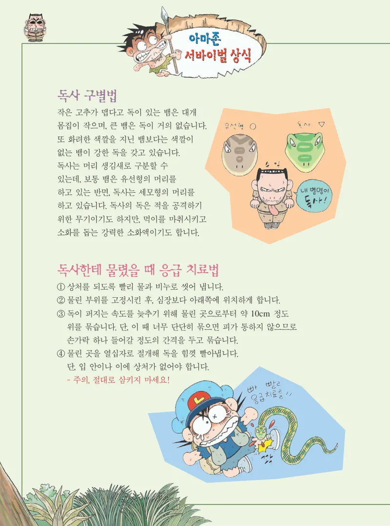 아마존에서 살아남기 - Image 84